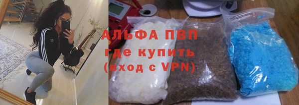 мяу мяу мука Кодинск