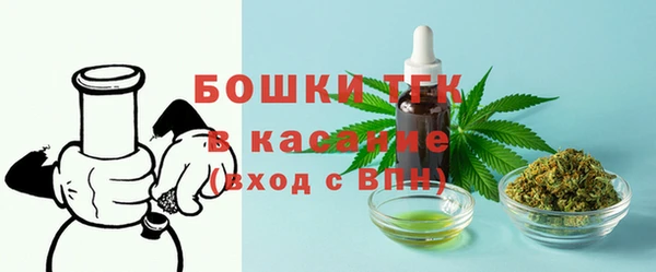 СК Козельск