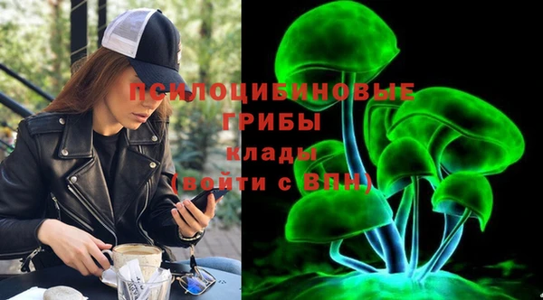 дмт Арсеньев