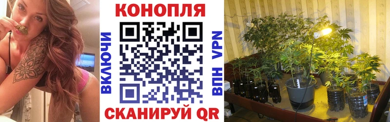 Купить где  Биробиджан  Каннабис MAZAR 